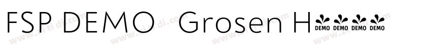 FSP DEMO   Grosen H字体转换